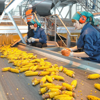 LNZ Group планує збільшити виробництво насіння