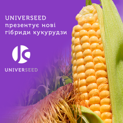 UNIVERSEED презентує нові гібриди кукурудзи